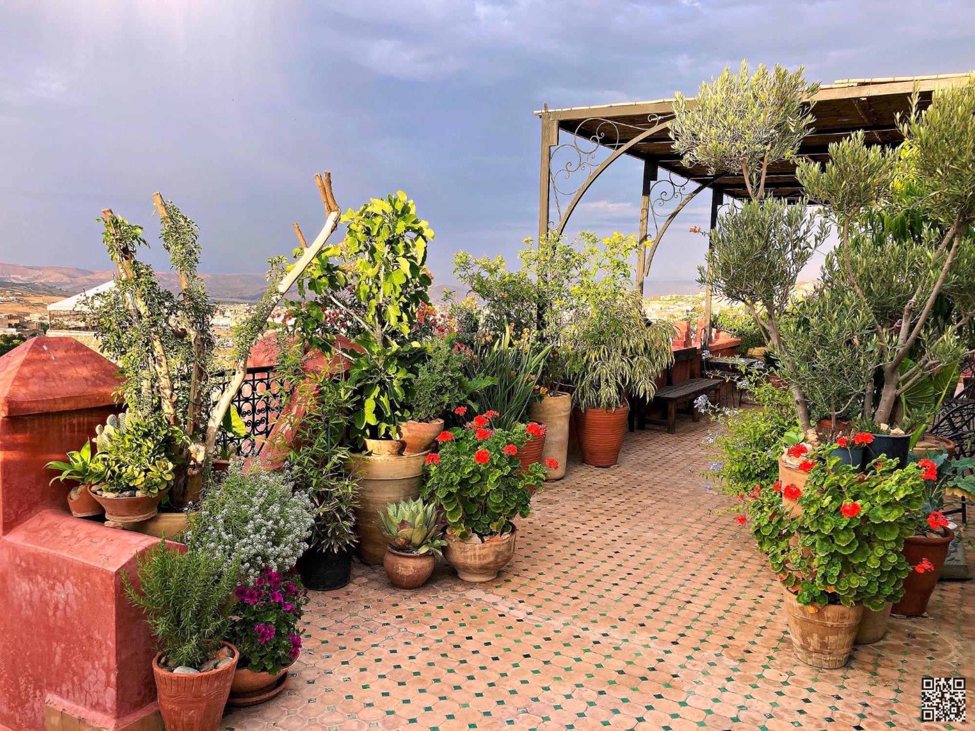 Riad Toyour- Riad Of Birds Фес Экстерьер фото