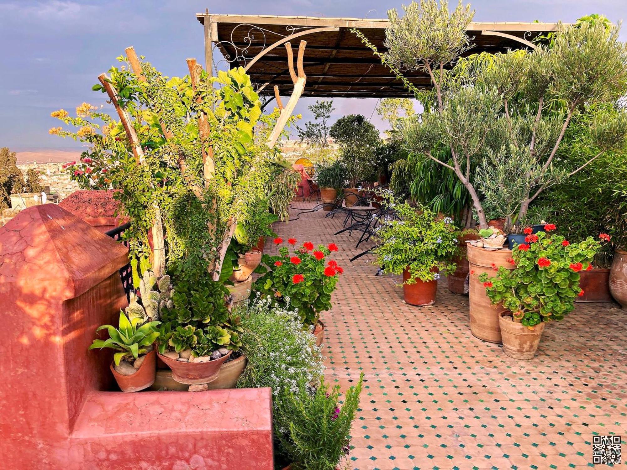 Riad Toyour- Riad Of Birds Фес Экстерьер фото