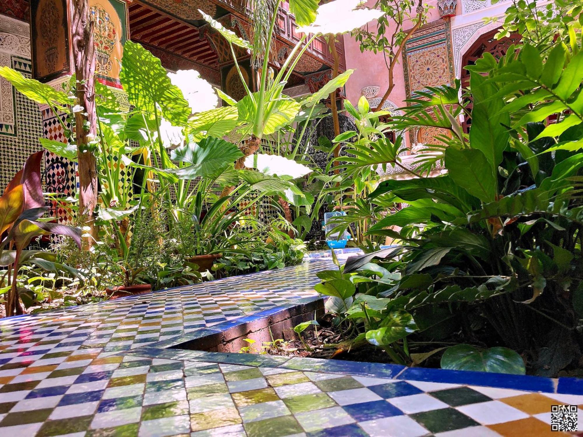 Riad Toyour- Riad Of Birds Фес Экстерьер фото