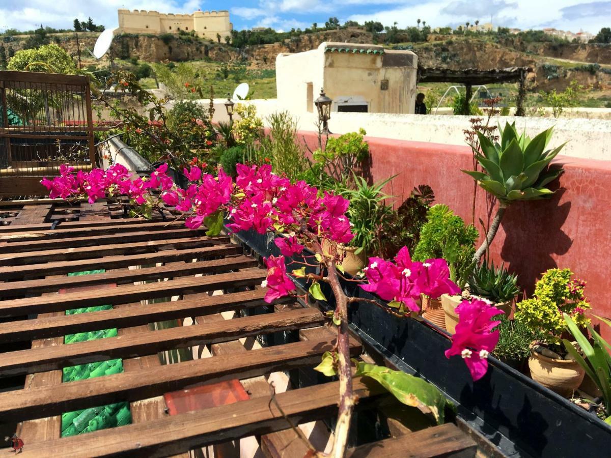 Riad Toyour- Riad Of Birds Фес Экстерьер фото
